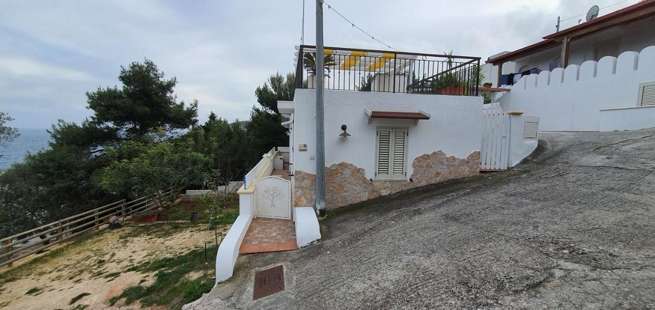 Casa Vacanze "Il Carrubo" غاليانو دل كابو المظهر الخارجي الصورة